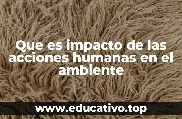 Que es impacto de las acciones humanas en el ambiente