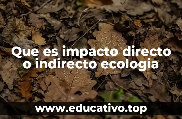 Que es impacto directo o indirecto ecologia