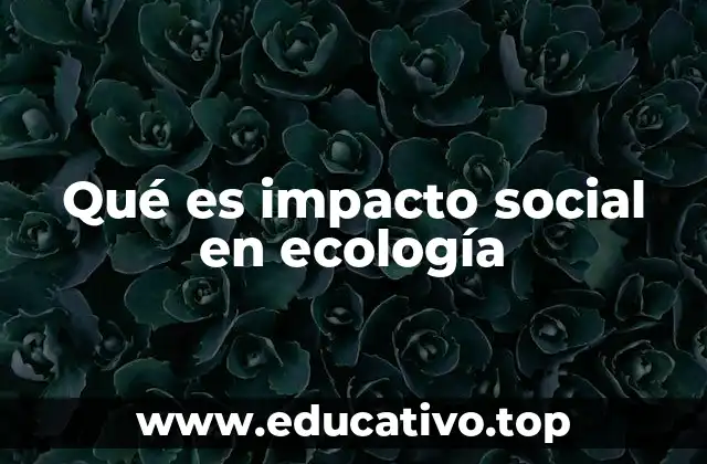 Cómo las decisiones ambientales afectan a las comunidades humanas