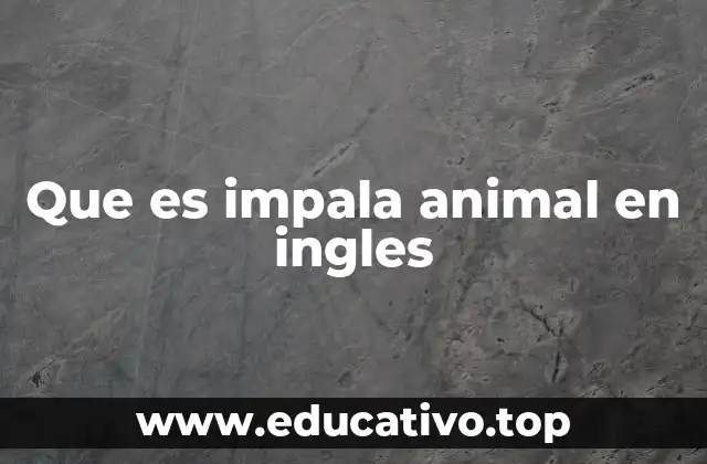 Que es impala animal en ingles