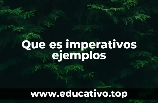 Que es imperativos ejemplos