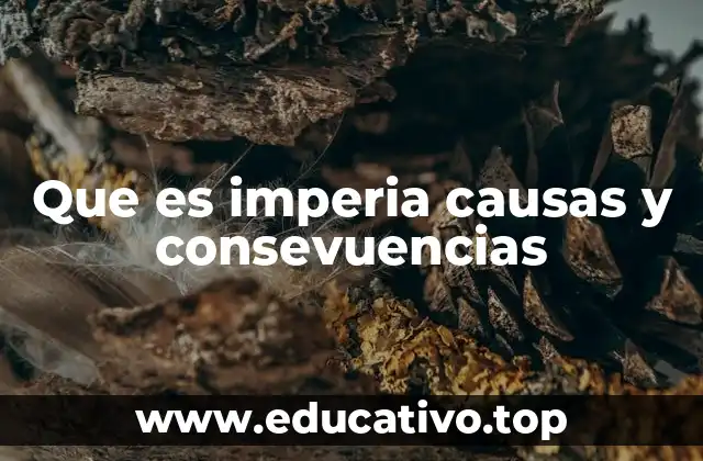 Que es imperia causas y consevuencias