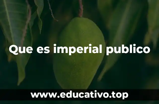 Que es imperial publico