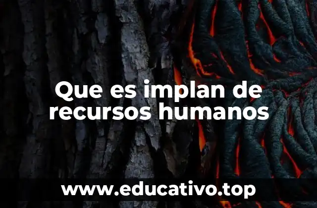 Que es implan de recursos humanos
