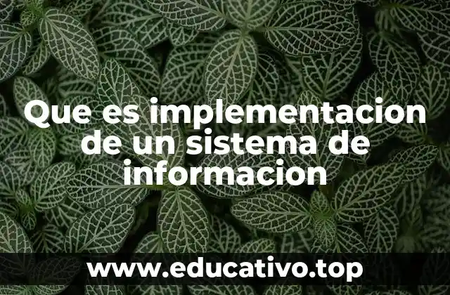 Que es implementacion de un sistema de informacion
