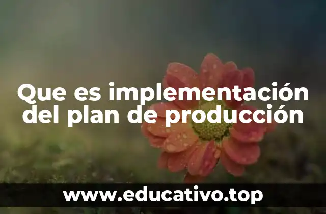 Que es implementación del plan de producción
