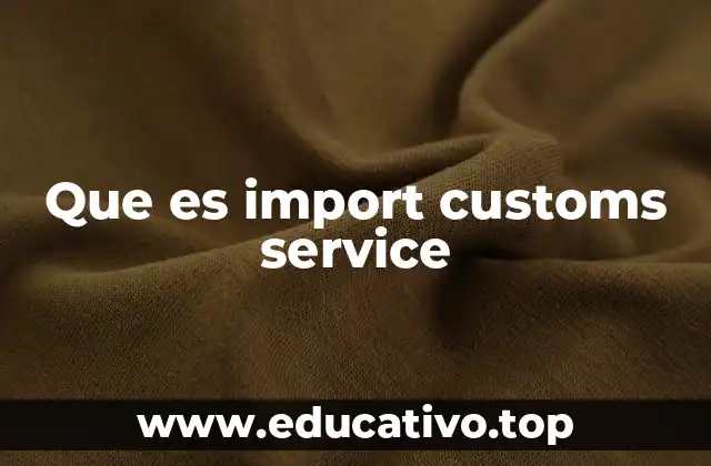 Que es import customs service