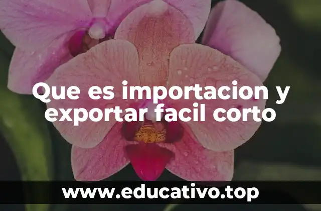 Que es importacion y exportar facil corto