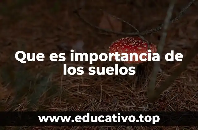 Que es importancia de los suelos
