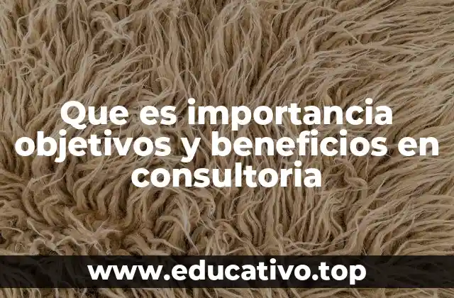 Que es importancia objetivos y beneficios en consultoria