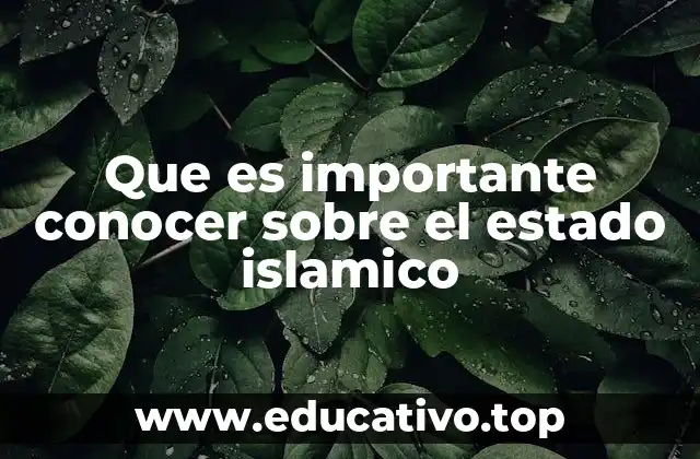 Que es importante conocer sobre el estado islamico