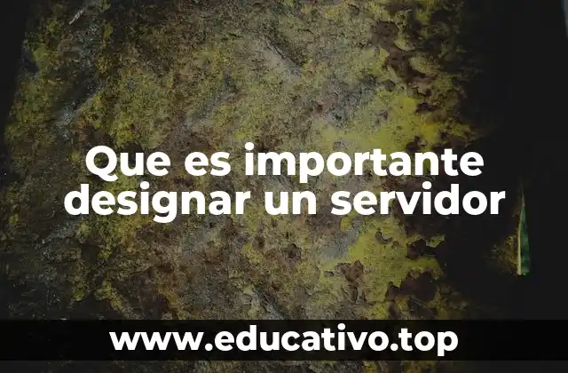 Que es importante designar un servidor
