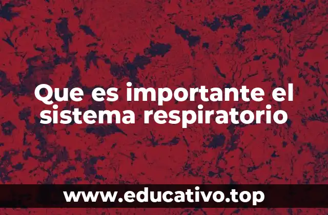 Cómo se relaciona el sistema respiratorio con la salud general