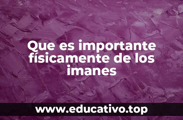 Que es importante físicamente de los imanes