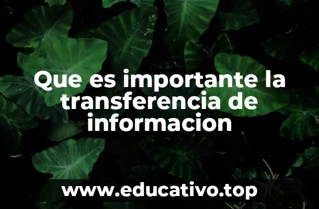Que es importante la transferencia de informacion