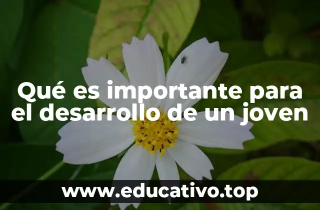 Qué es importante para el desarrollo de un joven