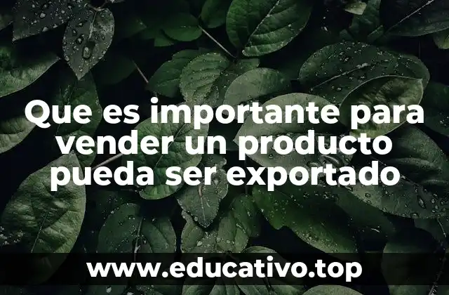 Factores clave que determinan la viabilidad de una exportación