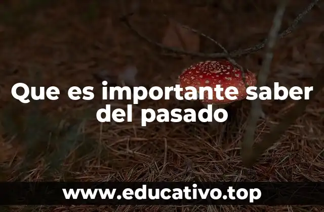 Que es importante saber del pasado