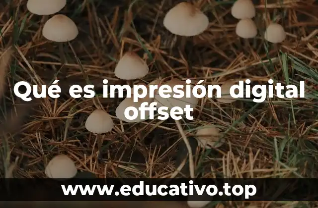 Qué es impresión digital offset