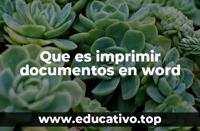 Que es imprimir documentos en word
