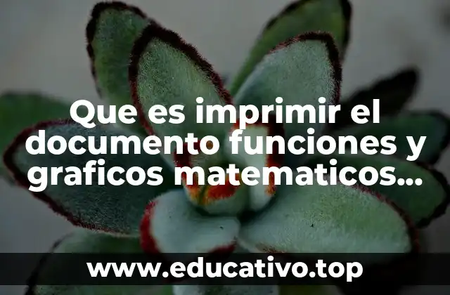 Que es imprimir el documento funciones y graficos matematicos word