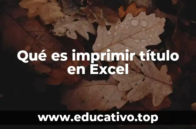 Qué es imprimir título en Excel