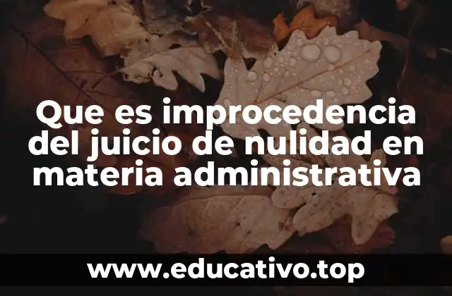 Que es improcedencia del juicio de nulidad en materia administrativa