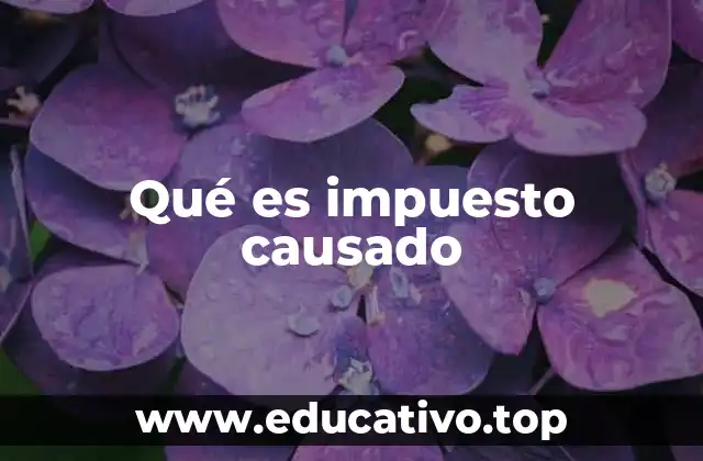 Qué es impuesto causado