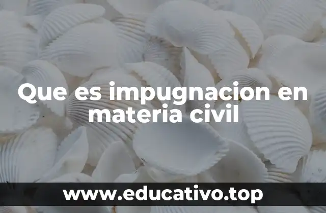 Que es impugnacion en materia civil
