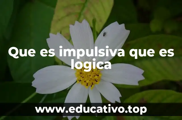 Que es impulsiva que es logica