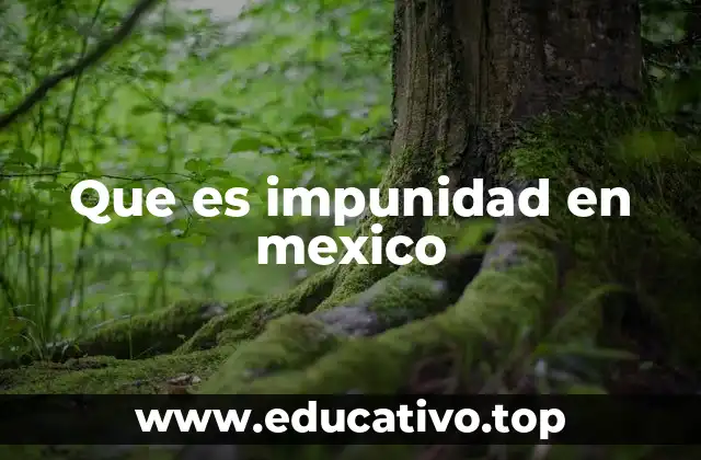 Que es impunidad en mexico