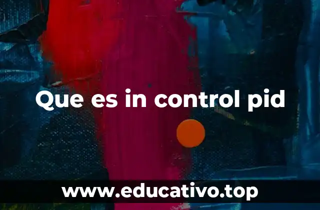 Que es in control pid