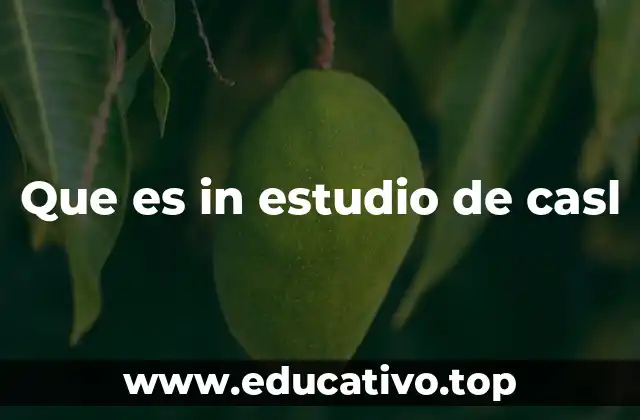 Que es in estudio de casl