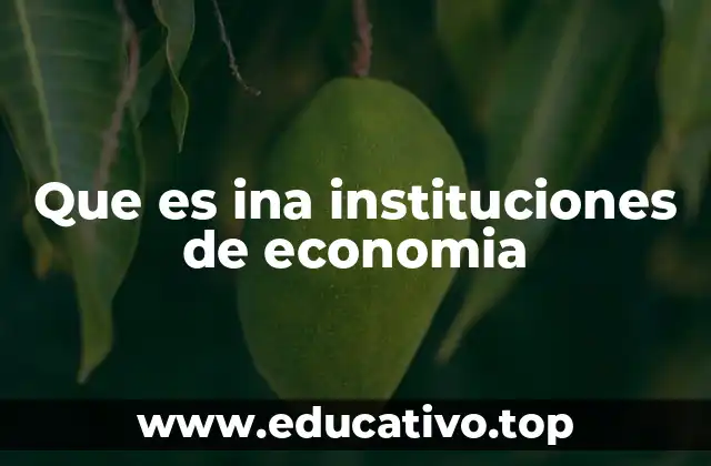 Que es ina instituciones de economia