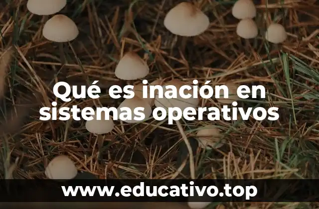 Qué es inación en sistemas operativos
