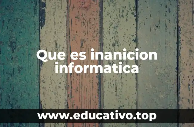 Que es inanicion informatica