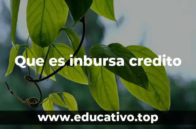 Que es inbursa credito