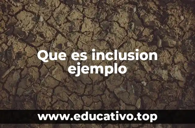 Que es inclusion ejemplo