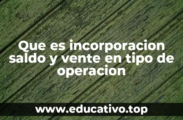 Que es incorporacion saldo y vente en tipo de operacion