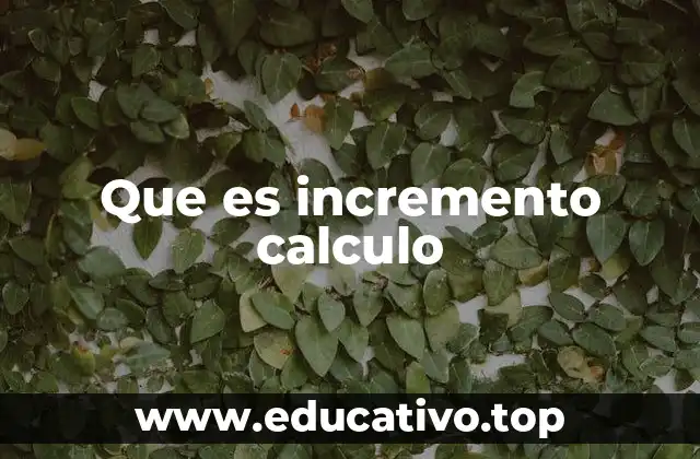 Que es incremento calculo