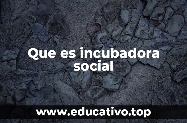 Que es incubadora social