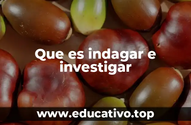 Que es indagar e investigar