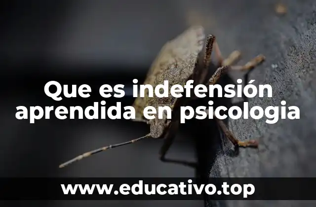 Que es indefensión aprendida en psicologia