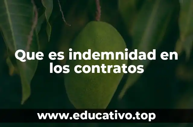 Que es indemnidad en los contratos