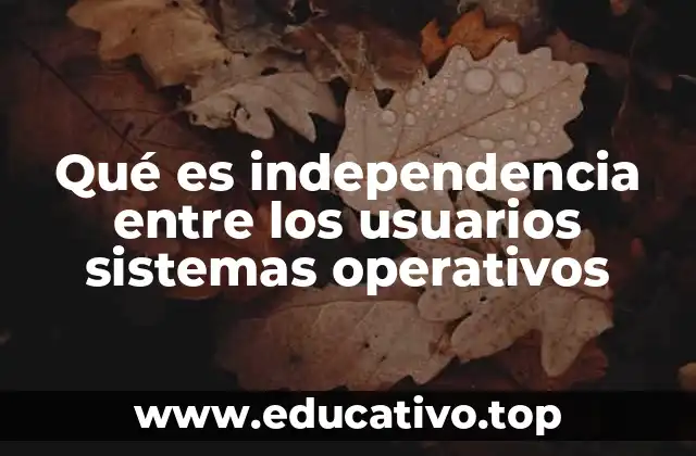 Qué es independencia entre los usuarios sistemas operativos