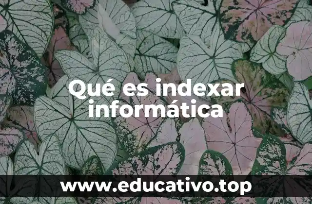 Qué es indexar informática