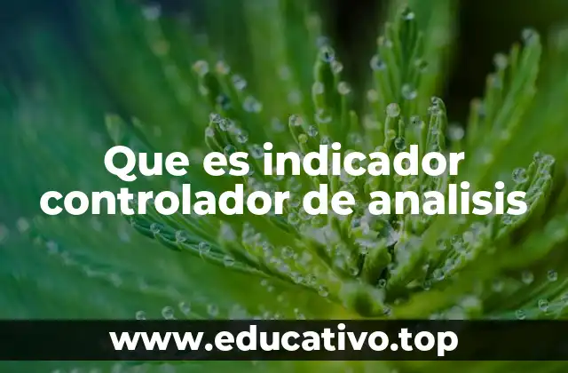 Que es indicador controlador de analisis