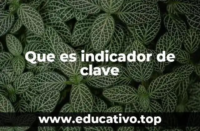 La importancia de los indicadores en sistemas de gestión