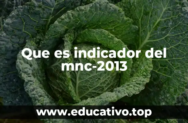 Que es indicador del mnc-2013