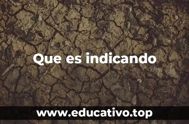 Que es indicando
